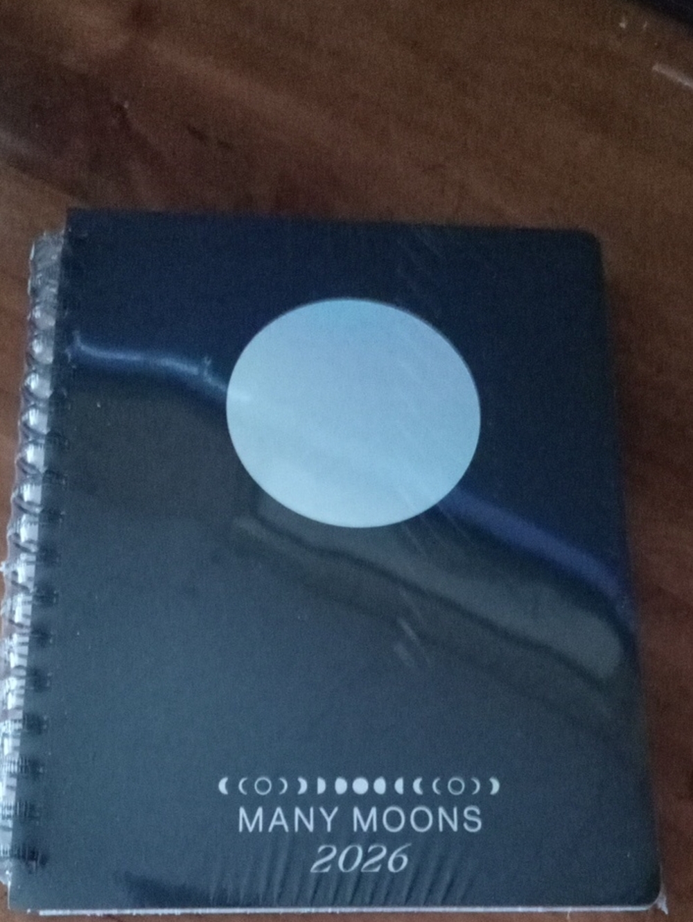 Stunning, Rare Find! Many Moons 2026 Lunar Planner by Sarah Faith Gottesdiener